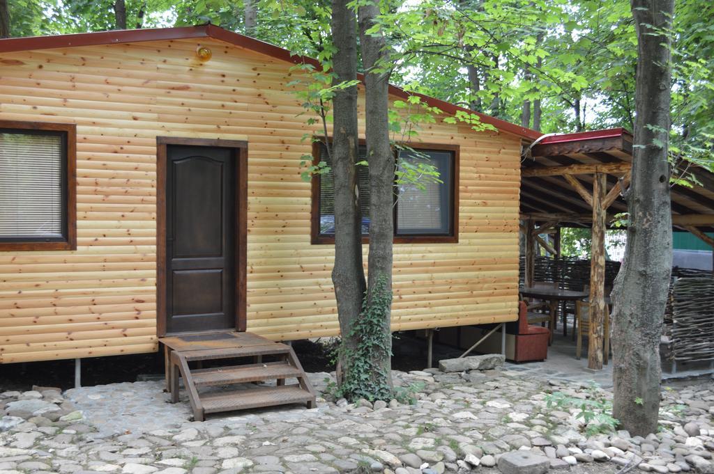 Hotel Grivitsa Plewen Pokój zdjęcie